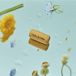 Fossil & Fawn - CLUB design work cover image