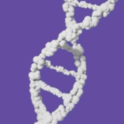 Aryaka - Limegreen design work cover image