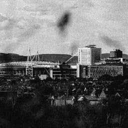 Campus - Limegreen design work cover image