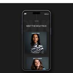 Bad Wolf - Design Dough design work cover image