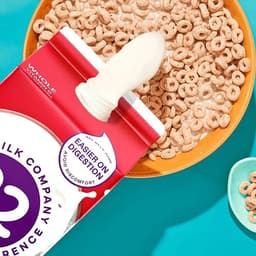 A2 Milk Usa - Disegno design work cover image