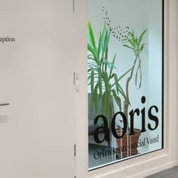 Aoris - Hymn design work cover image