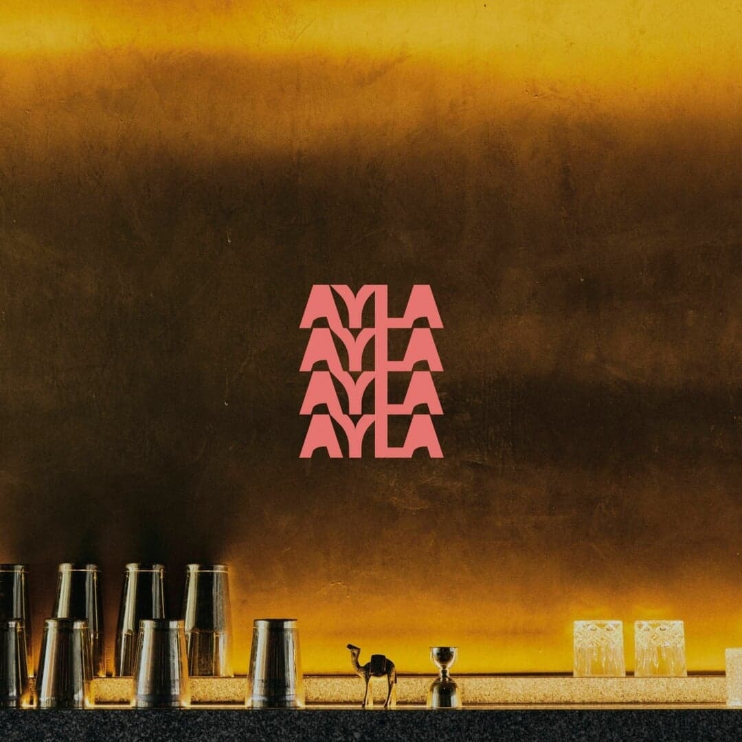 Brand Identity For Stellina