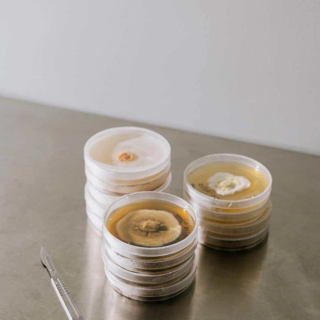 Brand Identity For A Circular Materials Startup