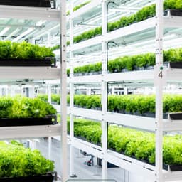 Brand Identity Evolution For An Innovative Vertical Farm cover image