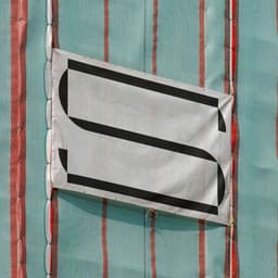 Developing The Visual Identity For The Sans cover image