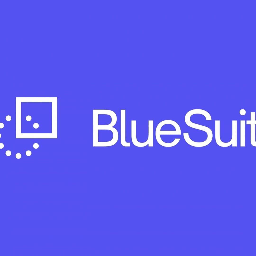 Brand Identity For Bluesuit Real Estate Platform