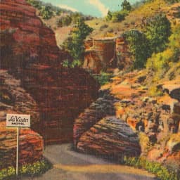 Branding For A Historic Motor Lodge In Denver cover image