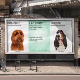 Developing A Distinct Brand Identity And Packaging For Lab+bone cover image