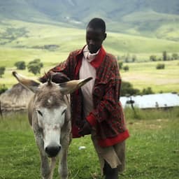 Redesigning Brand Identity For A Global Health Mission cover image