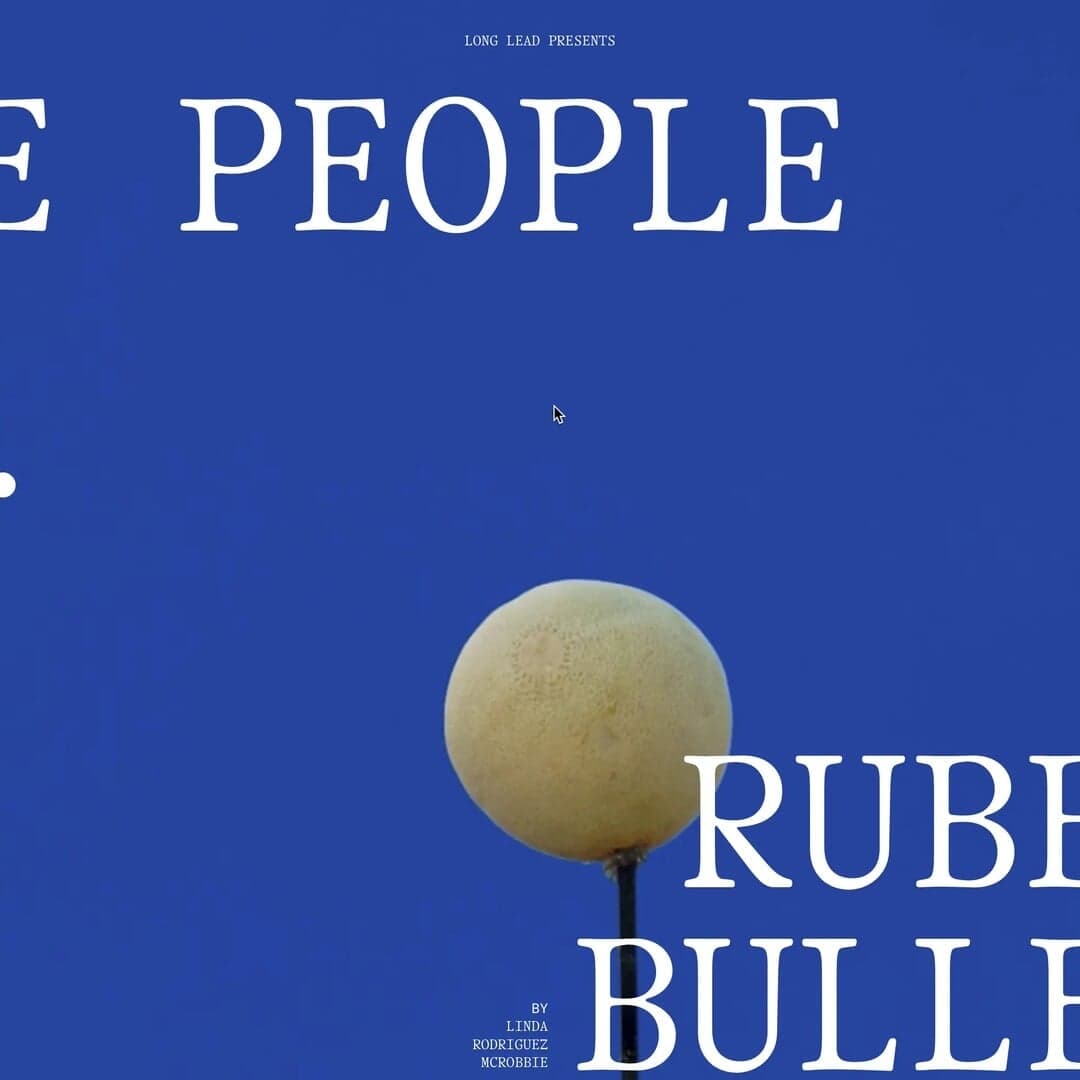 Album Artwork And Visual Identity For Rubber Bullets