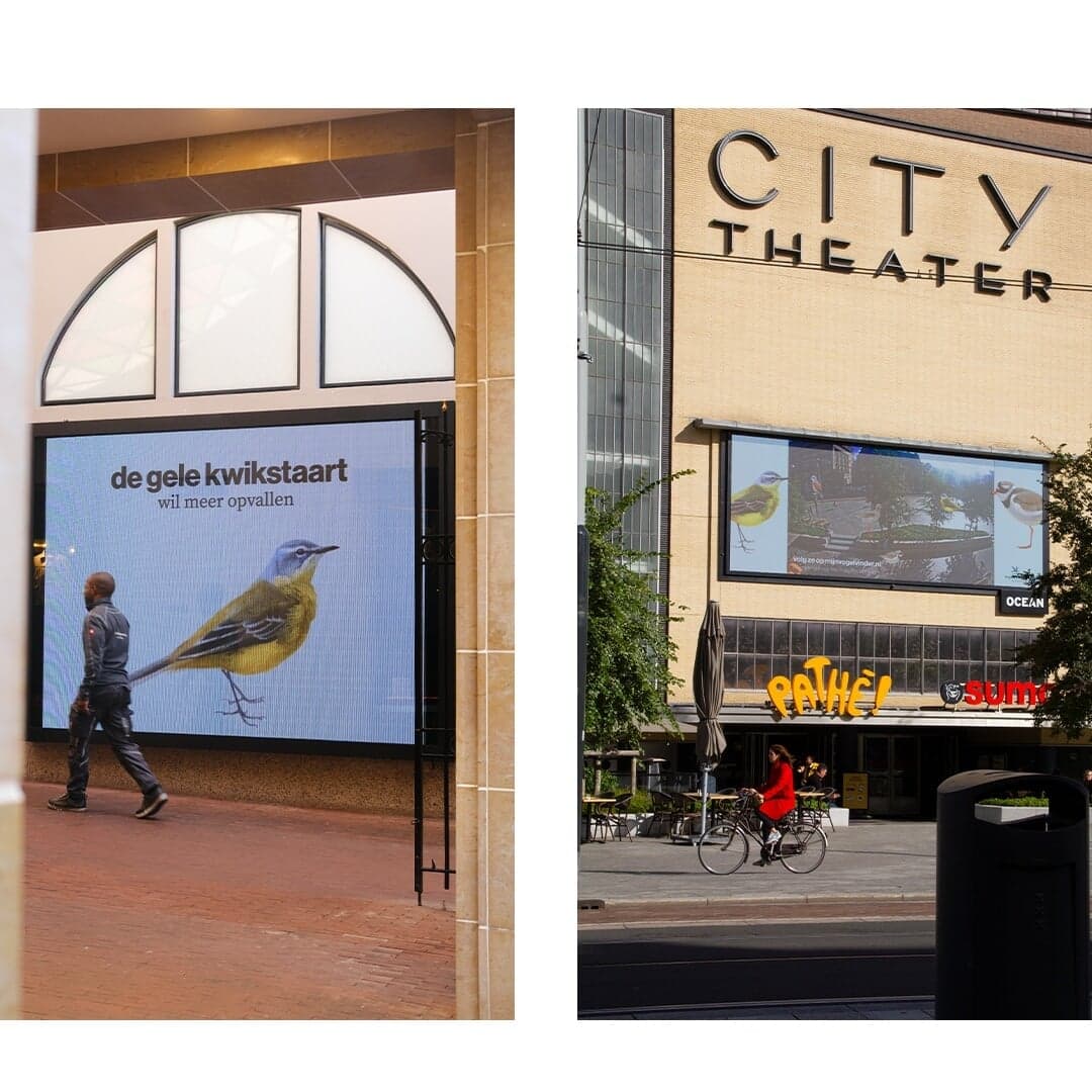 Awareness Campaign For Vogelbescherming Nederland