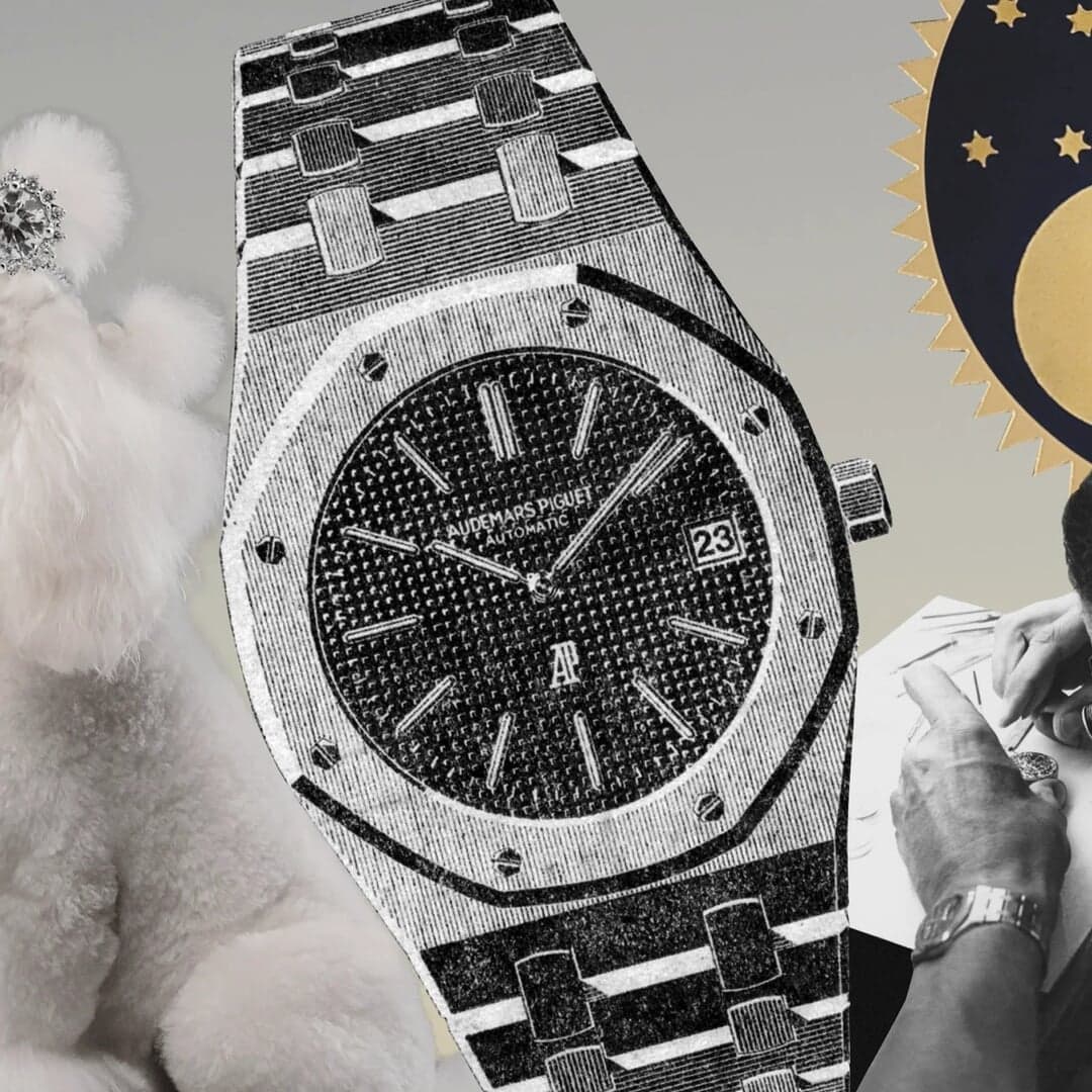 Website Design For Vev