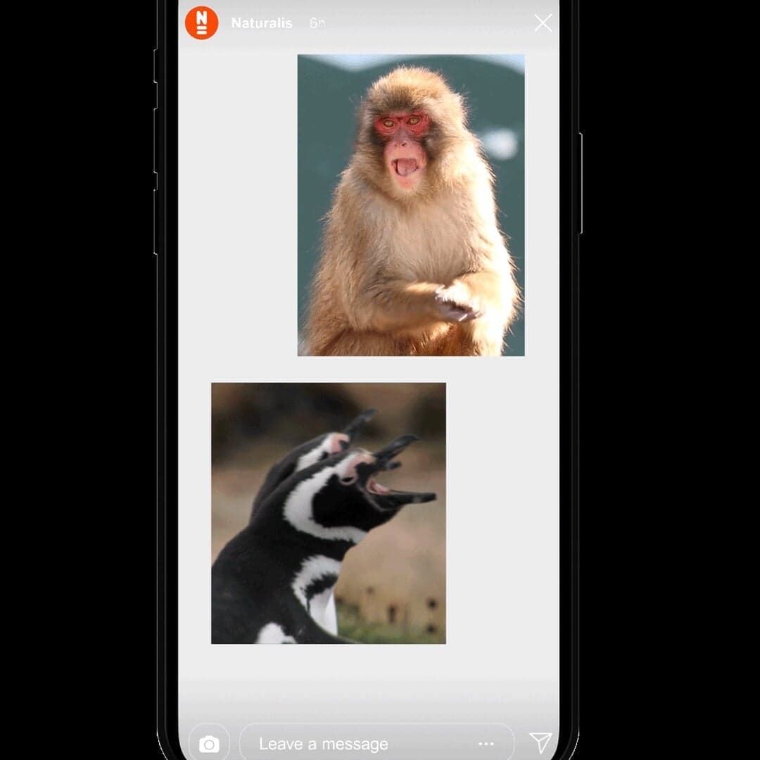 Exhibition Campaign For Naturalis Biodiversity Center