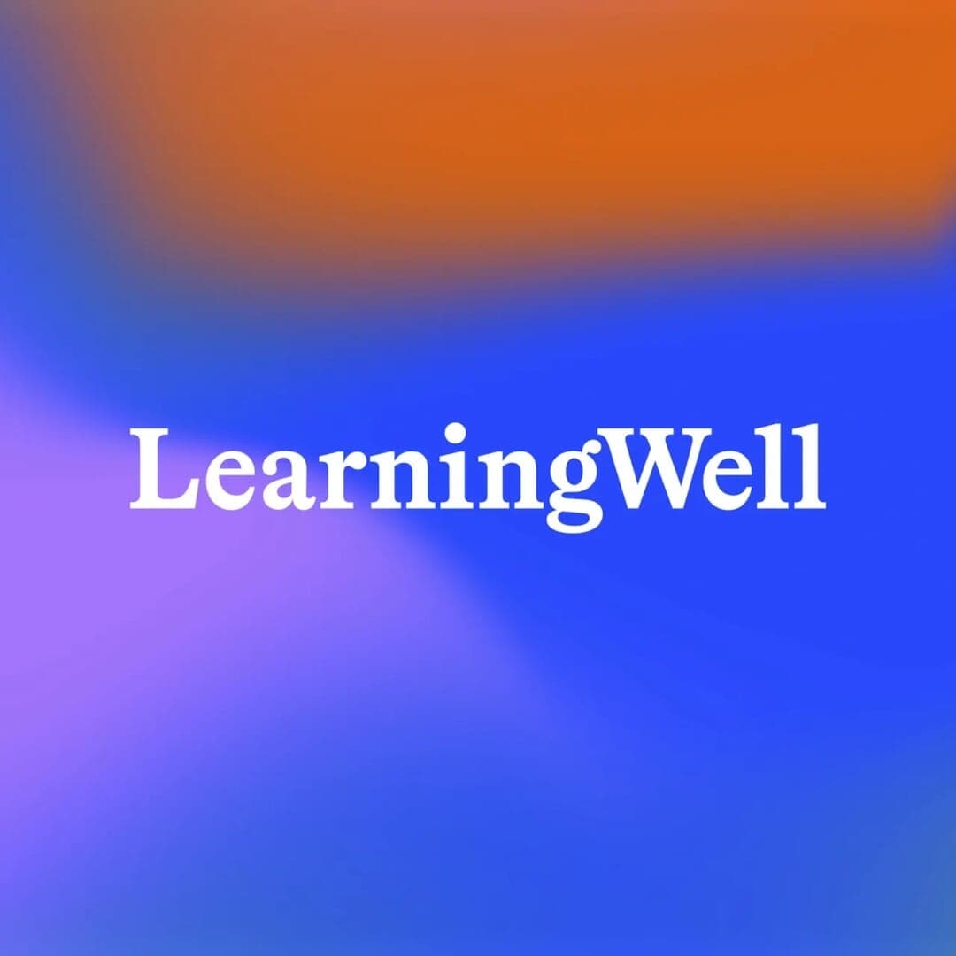 Brand Identity For Learning Well