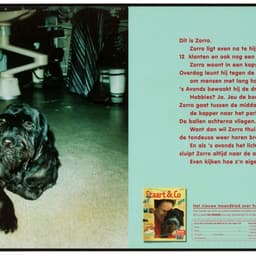 Campaign For A Dog-focused Company  cover image