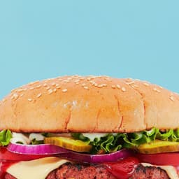 Creating A Standout Brand For Plantein cover image