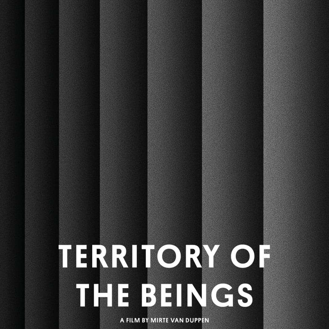 Motion Identity For Minutes By Kaan Architects