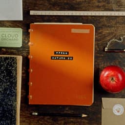 A Commercial Film And Creative Concept For Ffern cover image