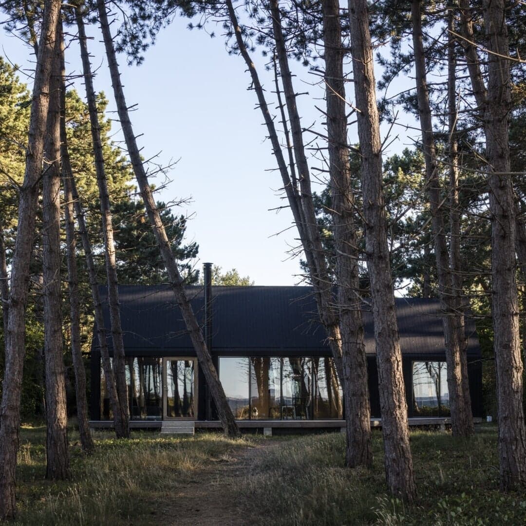 Naming And Communications Platform For D Line’s Sustainability Initiative