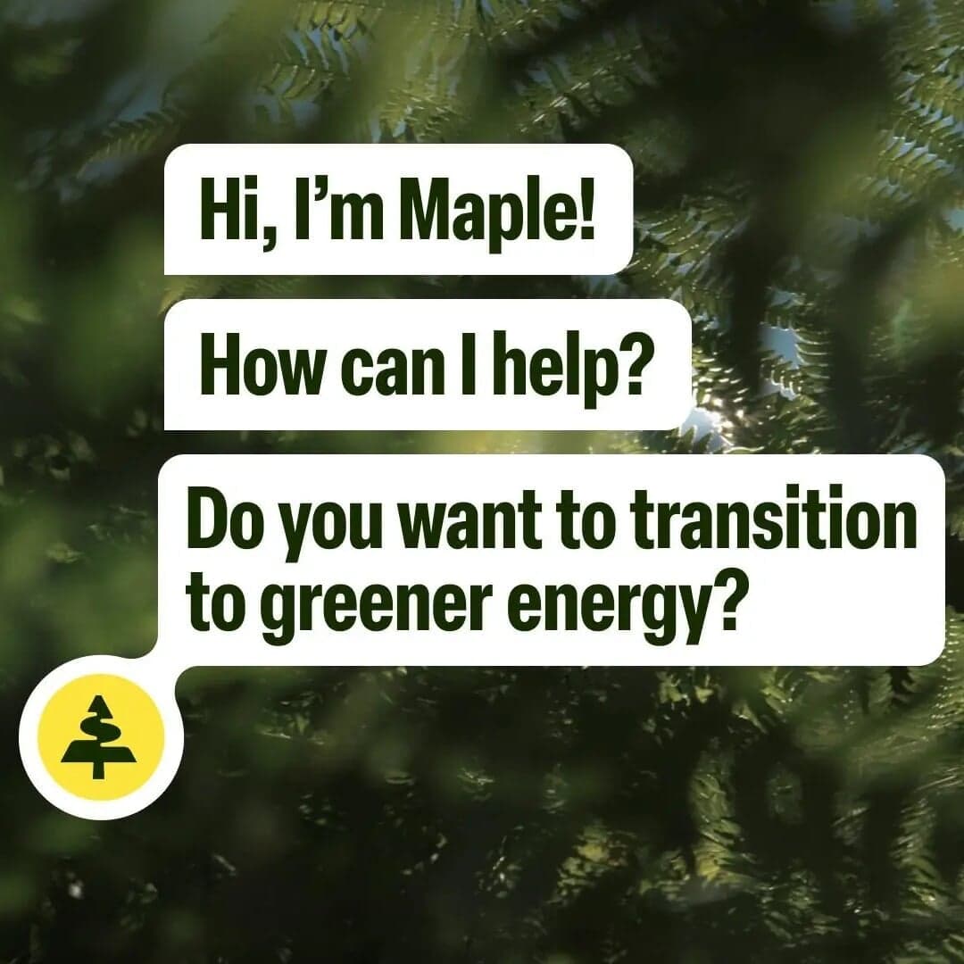 Brand Identity For Pets