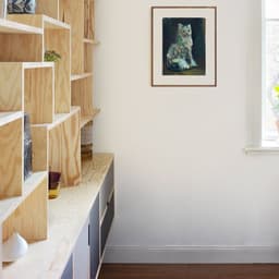 Custom Built Shelving System cover image