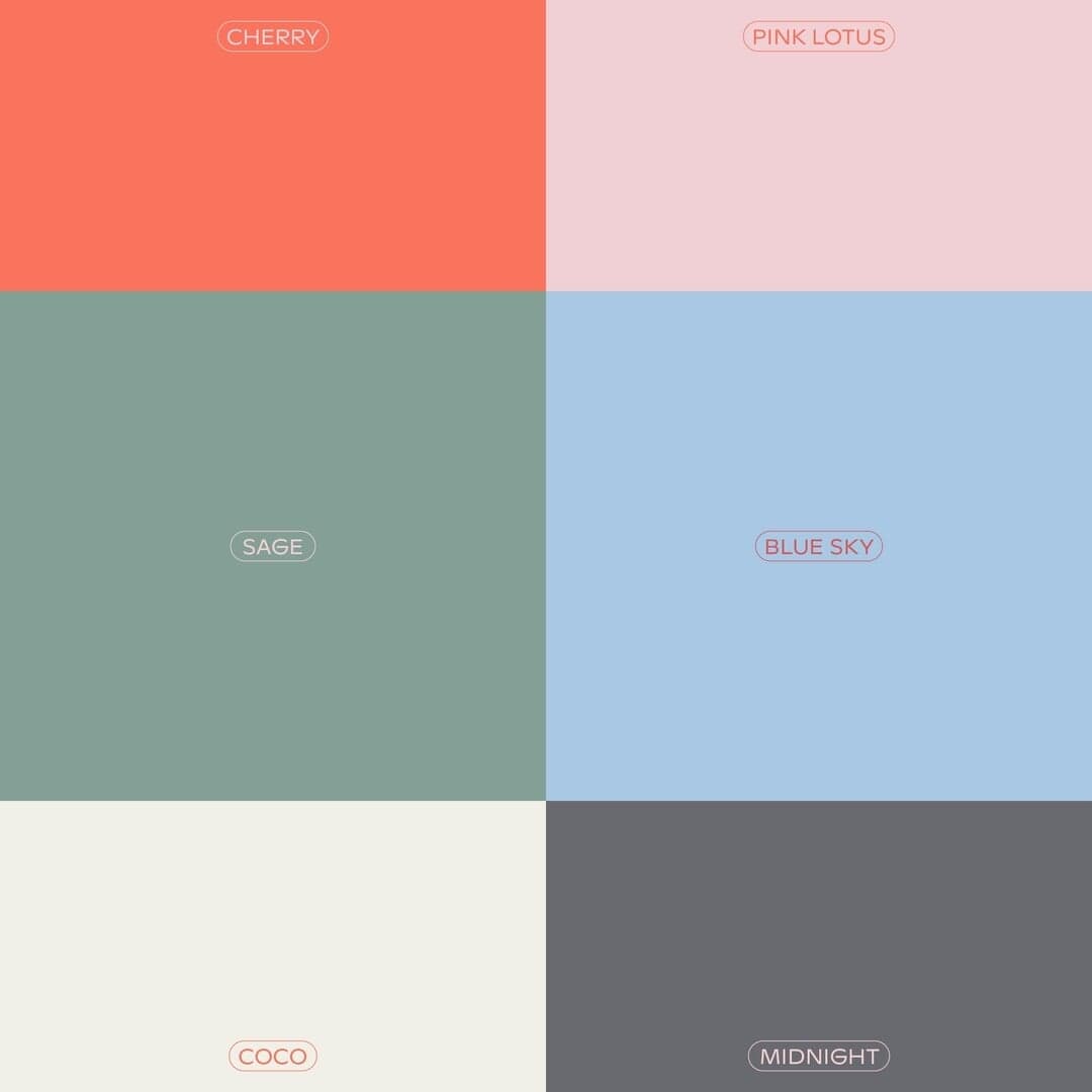 Branding For Toms In Town