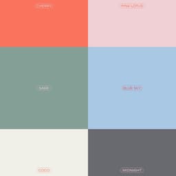 Brand Identity And Packaging For A Period Care Brand cover image