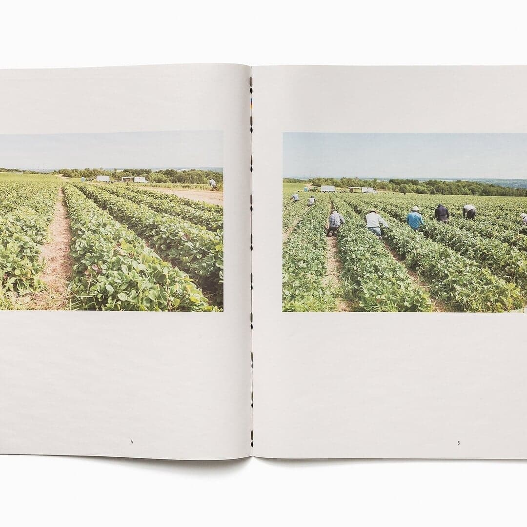 Publication Design For Australian Artist Drew Waters