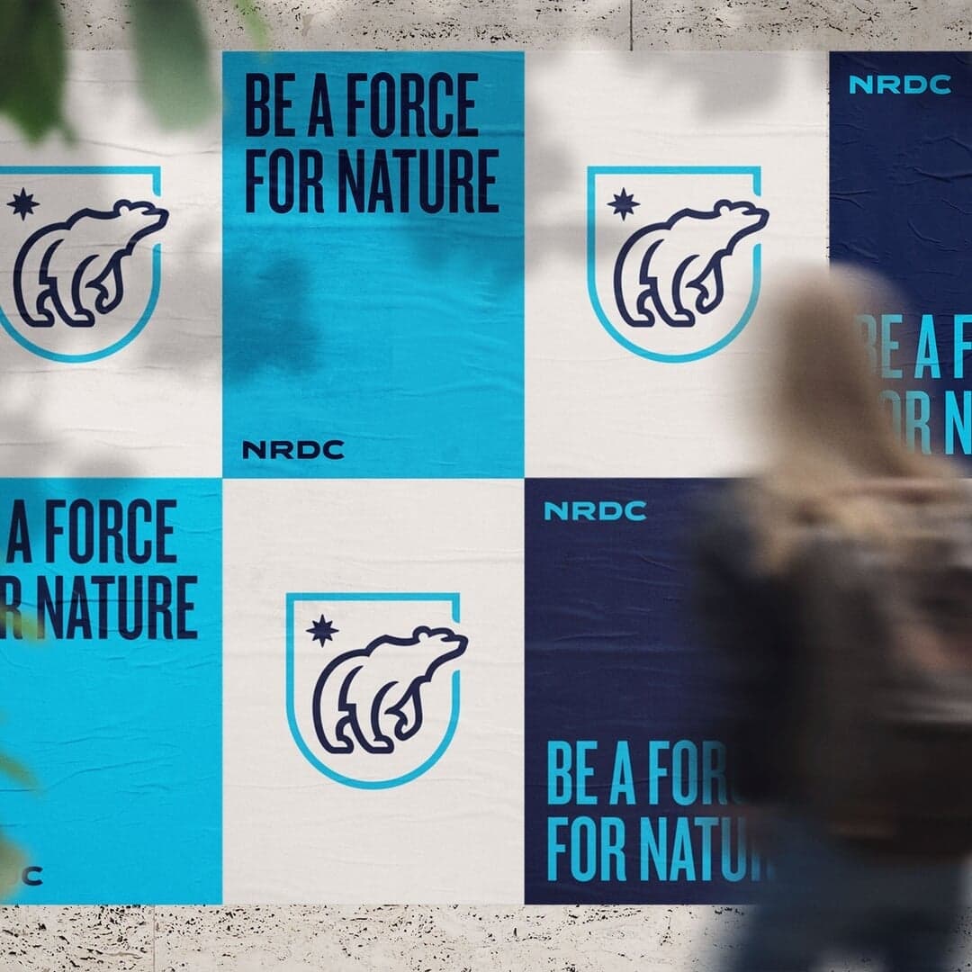 Campaign Identity For The Natural Resources Defense Council