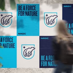 Brand Audit And Visual Identity For An Environmental Nonprofit cover image