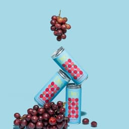 Ditto  - Buddy-Buddy design work cover image