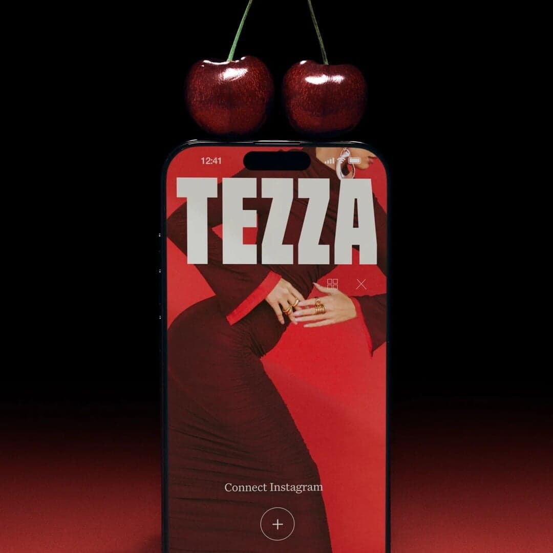 Vintage Branding And Packaging For Chip Nyc