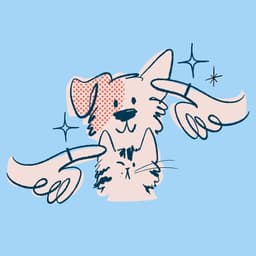 Brand Strategy And Packaging For A D2c Pet Grooming Brand cover image