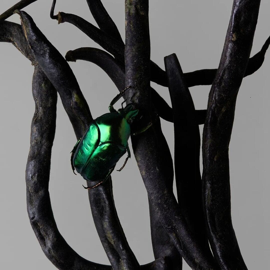 Still Life Photography Series For Phéromones