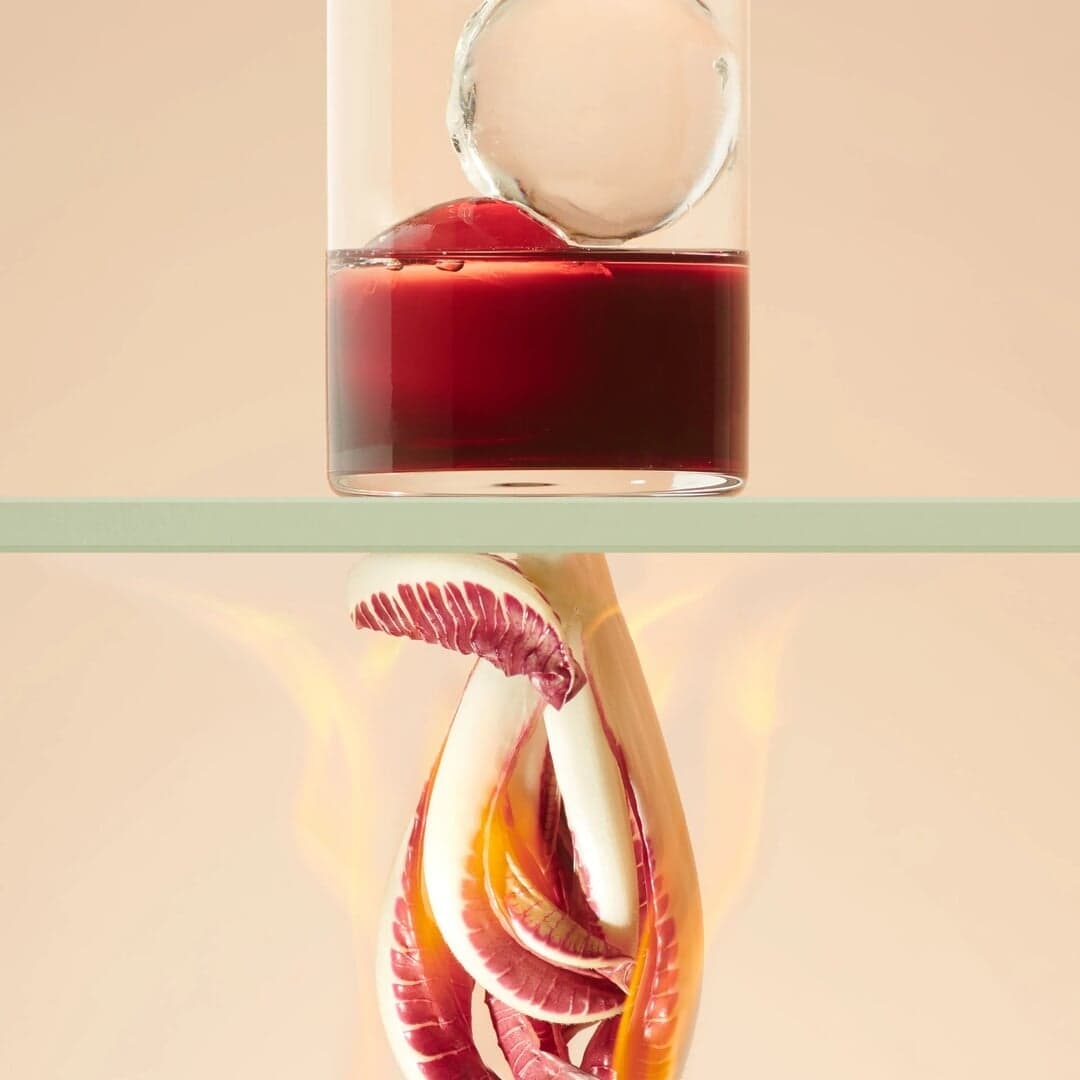 Still Life Photography For H.theoria Winter Collection