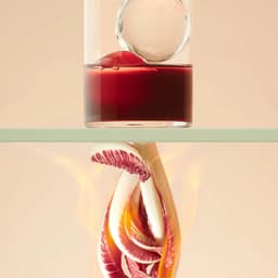 H. Theoria - Harel+Octante design work cover image