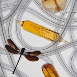 H. Theoria - Harel+Octante design work cover image