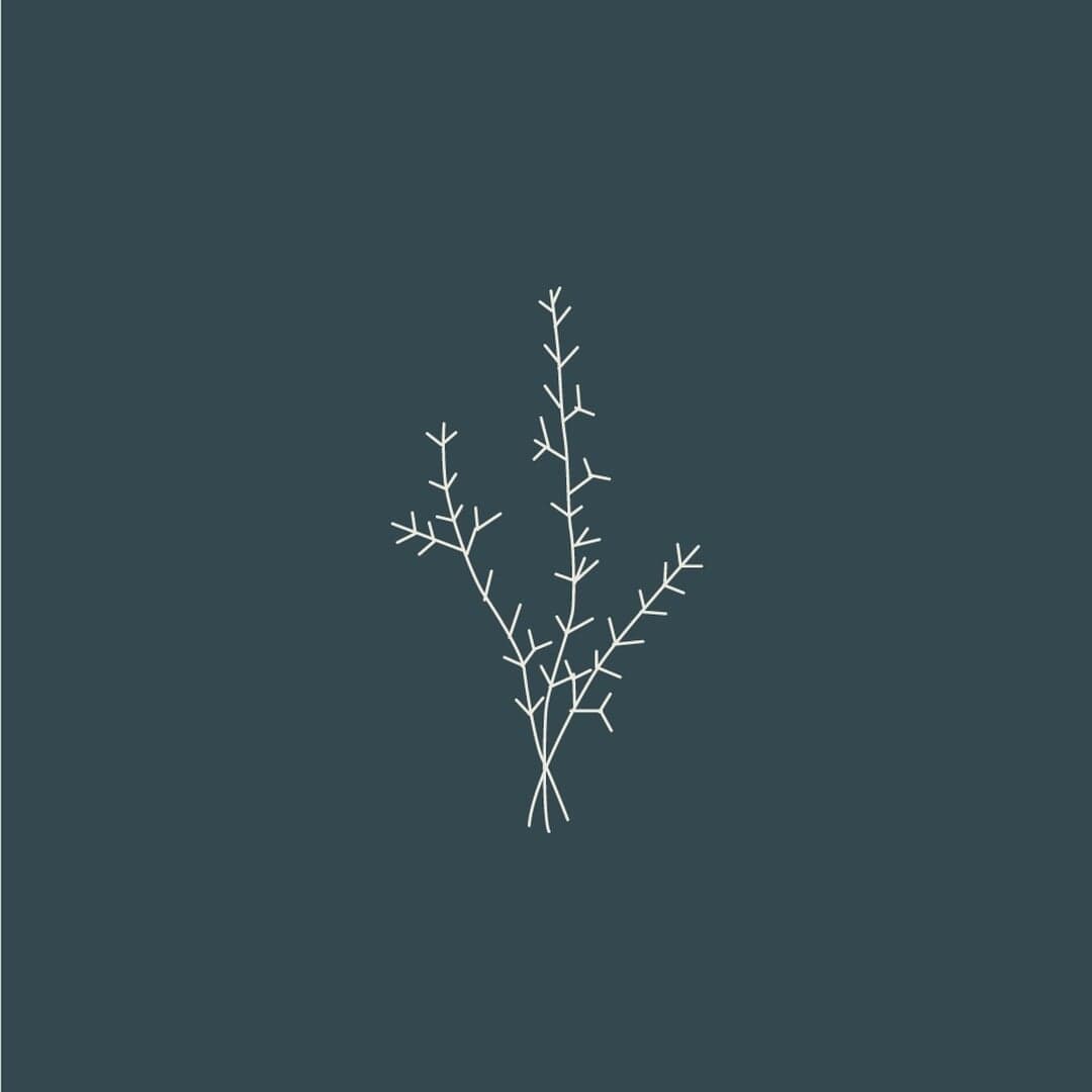 Naming And Branding For A Natural Skincare Company