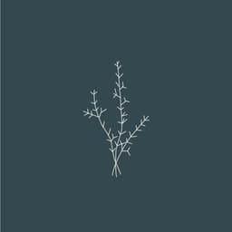 Bless - Miles design work cover image