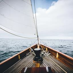 Brand Identity For Portuguese Flannel cover image