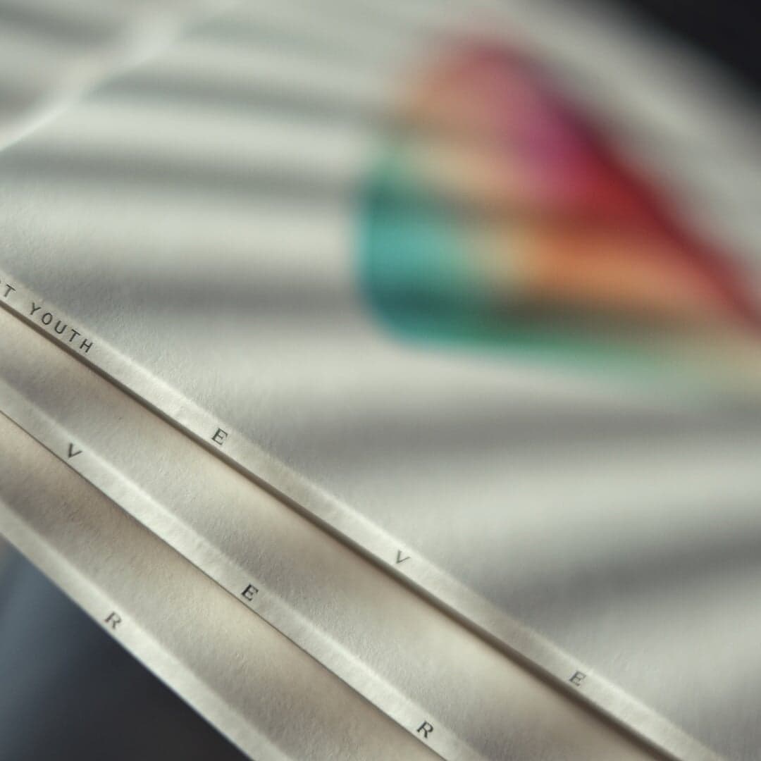 Visual Identity For Best Youth Album Everywhen