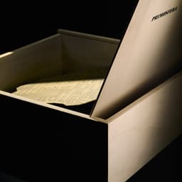 Illustration, Art Direction, And Branding For Primosfera cover image