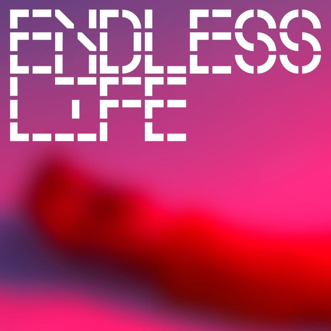 Album Artwork For Ta Toy Boy's Endless Life