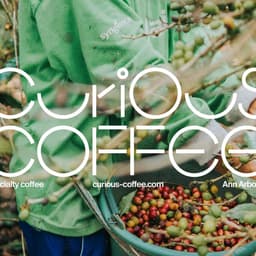 Corporate Design And Animation For Curious Coffee cover image