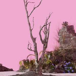 Cameron Fernandes - Cameron Fernandes design work cover image