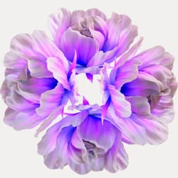 Barangaroo House - Cameron Fernandes design work cover image