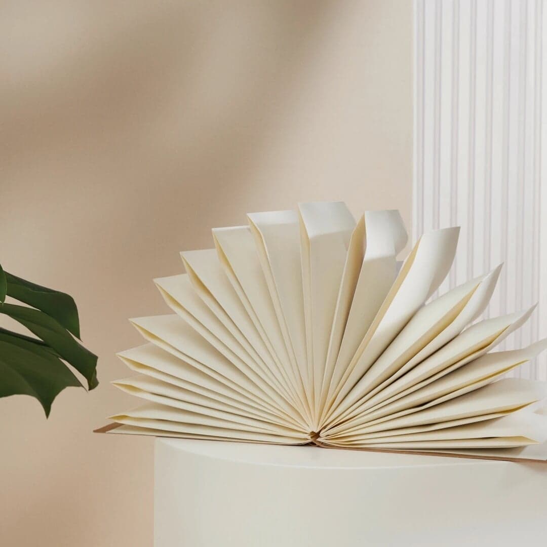 Brand And Design For Shopify