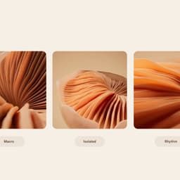 Inne - Document design work cover image