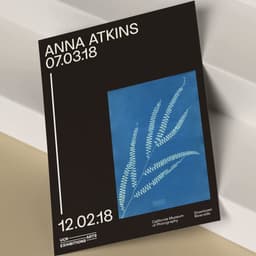 New Visual Identity For A University Arts Museum And Cultural Center cover image